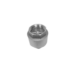 BRASS IN–LINE SPRING CHECK