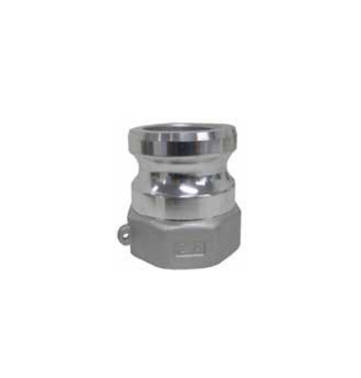 TYPE A - FI BSP X MALE