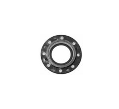 PVC FLANGES - FIXED FACE, TABLE D